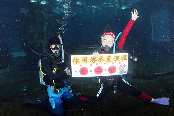 12/12正式上線！PADI 最新課程【休閑潛水員Resort Diver】 丨 一天拿證，潛遍全球